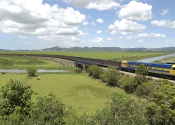 Ferrovia do Arco Norte terá 933 km, 65 pontes e evitará área indígena