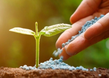 Sanções à Rússia pressionam mercado de ureia no Brasil