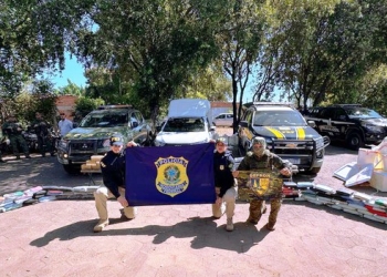 Motorista de empresa de logística é preso transportando mais de 279 quilos de entorpecentes na BR-070