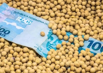 Alta do dólar e demanda firme garantem semana positiva para o mercado brasileiro