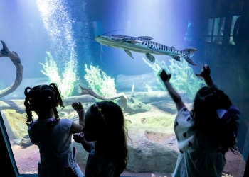 Aquário Municipal é sucesso de visitação no período de férias escolares