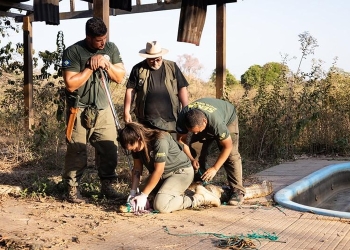 Sema inicia cadastro de voluntários para resgate e manejo de animais silvestres