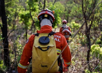 Corpo de Bombeiros extingue 2 incêndios florestais e combate 3 neste domingo (10)