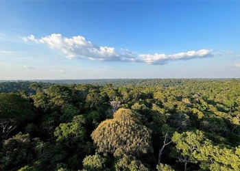 “Plano Clima” transforma agro em vilão ambiental e acende alerta sobre barreiras comerciais internacionais