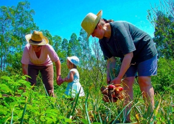 “Bioinsumos” vai disponibilizar R$ 60 milhões para agricultura familiar