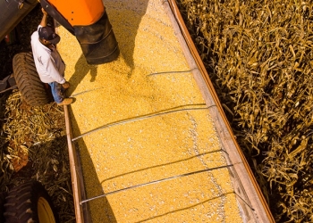 Mato Grosso lidera saldo da balança comercial brasileira no primeiro semestre de 2025