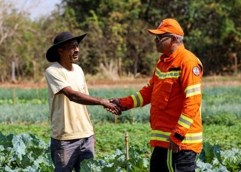 Parceria entre bombeiros e comunidade reduz focos de calor em 95% no Pantanal