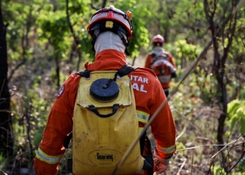Corpo de Bombeiros combate 31 incêndios florestais no sábado (13) em diversas regiões do estado