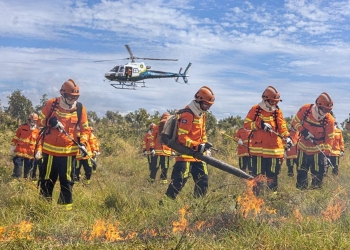 Corpo de Bombeiros combate oito incêndios florestais neste sábado