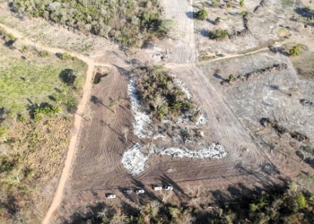 Operação integrada identifica queimada ilegal no Pantanal; infrator é multado