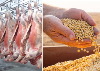 Soja e carne bovina devem puxar alta de 11,5% no faturamento do agronegócio em 2025