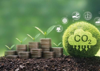 Plano Clima: entidade entrega sugestões e pressiona por remoções de carbono