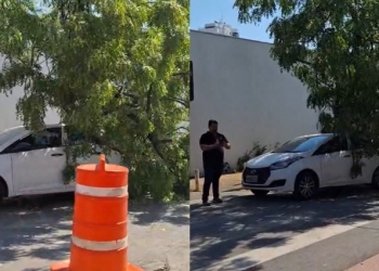 Árvore cai sobre carro com casal e bebê em rua movimentada de Cuiabá; veja vídeo