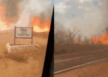 Ônibus com funcionários de resort é evacuado após incêndio atingir MT-351