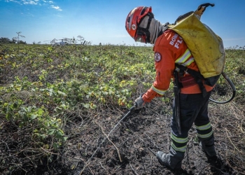 Corpo de Bombeiros combate 14 incêndios florestais nesta segunda-feira