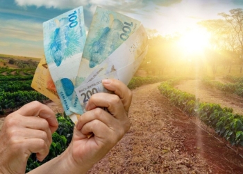 BB lança linha de crédito de R$ 20 bilhões para renegociar dívidas rurais