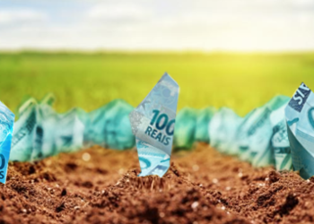 FIDCs impulsionam o agronegócio e garantem previsibilidade financeira