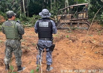 Batalhão Ambiental aplica mais de R$ 153 milhões em multas de janeiro até outubro deste ano