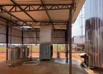 Com apoio do Governo de MT, cooperativismo fortalece produção de leite na região do Araguaia