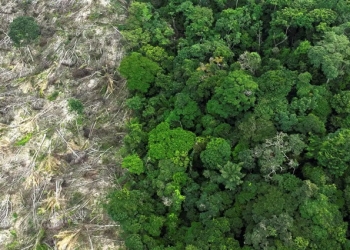Mudanças climáticas já afetam cotidiano da população na Amazônia Legal
