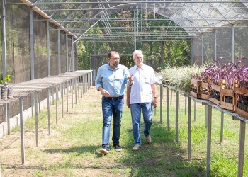Nova estufa instalada no Horto Florestal de Cuiabá vai ampliar produção de mudas