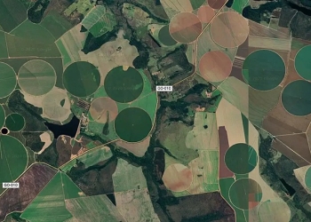 Cerrado brasileiro perdeu 28% da vegetação nativa em 40 anos