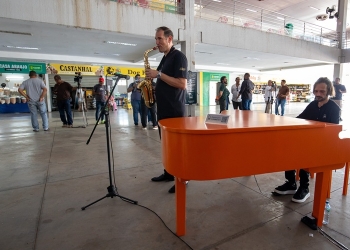 Projeto Piano Gente transforma o Aquário Municipal neste sábado