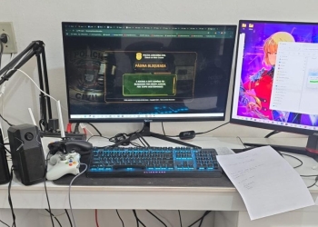 Grupo criminoso usava senhas de servidores públicos para clonar veículos e lavar dinheiro