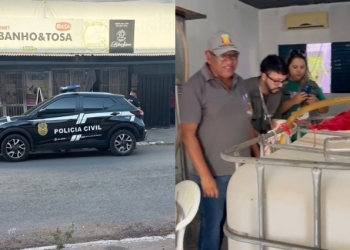 Polícia encontra fábrica clandestina de bebidas em pet shop em Várzea Grande; veja vídeo