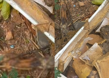 Corpo em decomposição é encontrado atrás da UPA do Verdão em Cuiabá