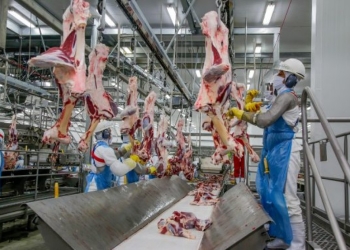 Estado conquista espaço global com defesa agropecuária e carne bovina