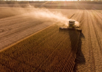 Custo de produção recua, mas clima e crédito trazem alerta