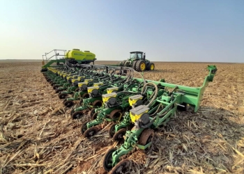 Soja ganha força, mas irregularidade das chuvas preocupa produtores