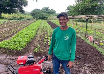 Com apoio da Seaf e ajuda da família, agricultor de Barra mecaniza produção e amplia colheita de hortaliças