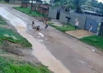 Vídeo mostra idoso sendo atacado por pit bulls após cães fugirem de residência