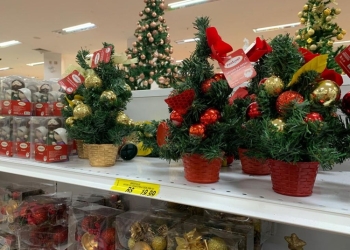 Procon-MT orienta consumidores sobre cuidados com a compra de enfeites de Natal