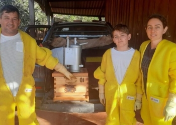 Hidromel atendido pelo Senar MT e Sindicato Rural de Sinop será destaque na COP 30