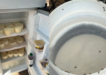 Comerciante é preso por vender leite e derivados em condições impróprias para consumo