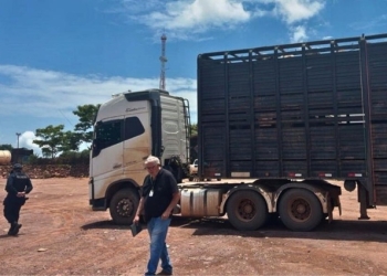 Fiscalização flagra motorista com Guia de Trânsito Animal (GTA) falso