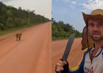 Ciclista é perseguido por onça-pintada enquanto pedala em rodovia; veja vídeo