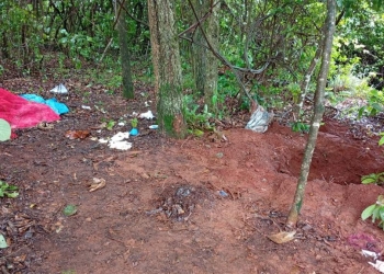 Corpo com sinais de execução é encontrado em cova rasa no interior de MT
