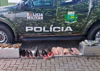 Homem de 56 anos é preso por transporte e comercialização de 52 quilos de pescado