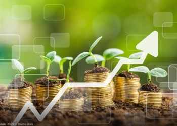 Orçamento da União para 2026 expõe incoerência do governo na proteção ao produtor