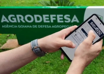 Produtores têm até 31 de dezembro para atualizar declaração de rebanho