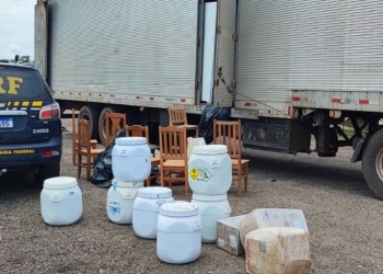 Caminhoneiro é preso com 600 kg de maconha escondidos em embalagens agrícolas