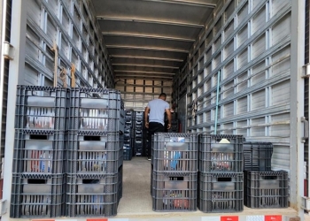 Sejus acompanha entrega de materiais adquiridos por familiares para reeducandos