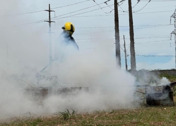 Corpo de Bombeiros e Energisa realizam teste de sensor que detecta incêndios com o uso de IA