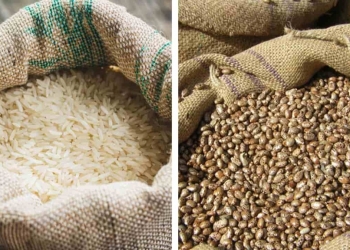 Arroz e feijão começam o ano em caminhos opostos