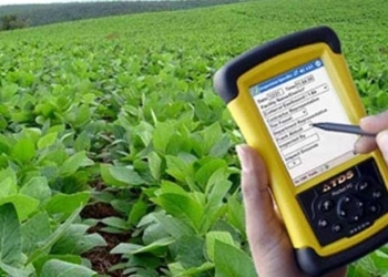 Levantamento indica que a produção deve somar 332,7 milhões de toneladas
