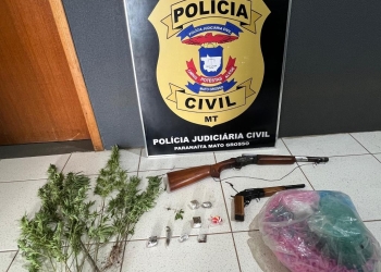 Polícia Civil localiza sítio com plantação de maconha, armas e milhares de microtubos em MT